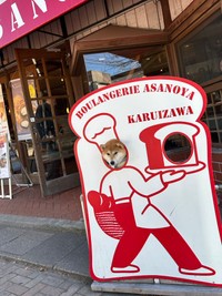 ちびこちゃんの「顔出しパネル」シリーズ（画像提供：柴犬ちびこさん）
