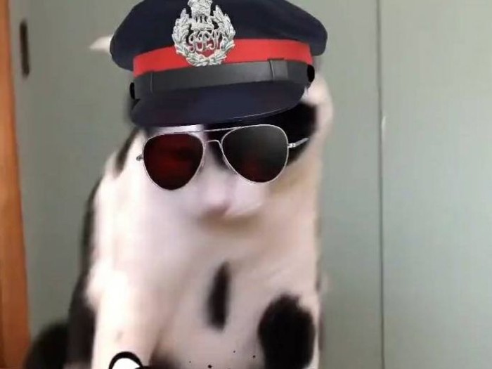 インスタでかっこつけたり……一家の末っ子を満喫（夏子さん提供）