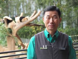 韓国のパンダ人気に火を付けた名物飼育員　日常を動画配信、過ごした日々は映画や本に