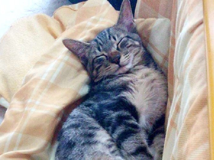 リラ～ックス！