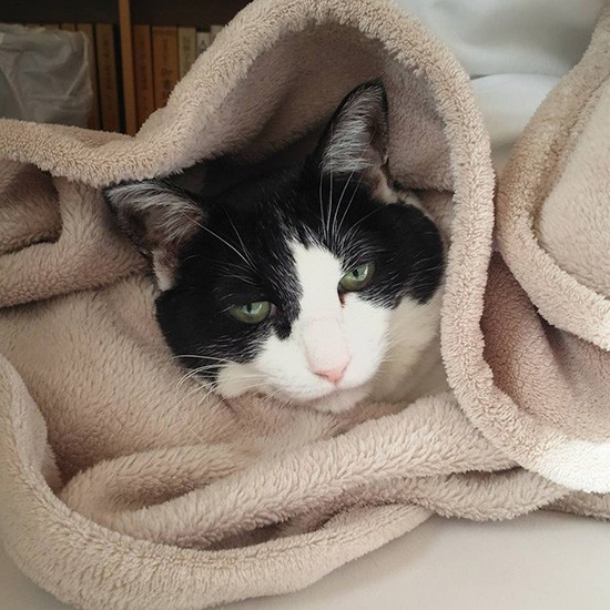 「こんな風にぬくぬくしたり」（横野さん提供）