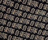 アップにすると…なぜこんなに羅列？（提供）