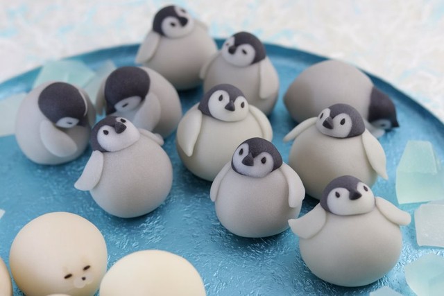 赤ちゃんペンギン ※三宅さん提供