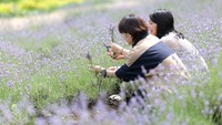 提供：蒜山ハーブガーデンハービル