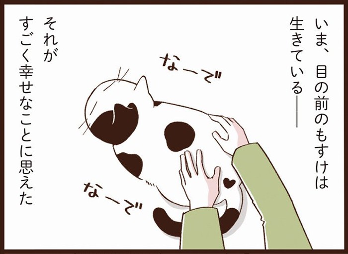 『まんがで読む　はじめての猫のターミナルケア・看取り』から