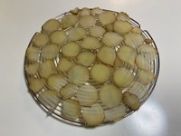 こんなにつやつやしてたのに…（あいりさん提供）