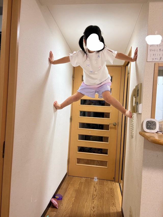 壁をつたって天井近くまで到達／投稿主さん提供