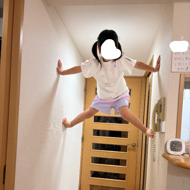 壁をつたって天井近くまで到達／投稿主さん提供