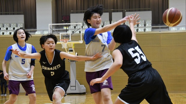 ミニドッグス―千葉ジェッツ