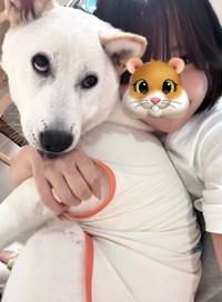 どんな時でも写真を撮ろうとすると変顔を忘れないぼんじりちゃん（提供：柑橘めたる🍊🐹🐱🐶さん）