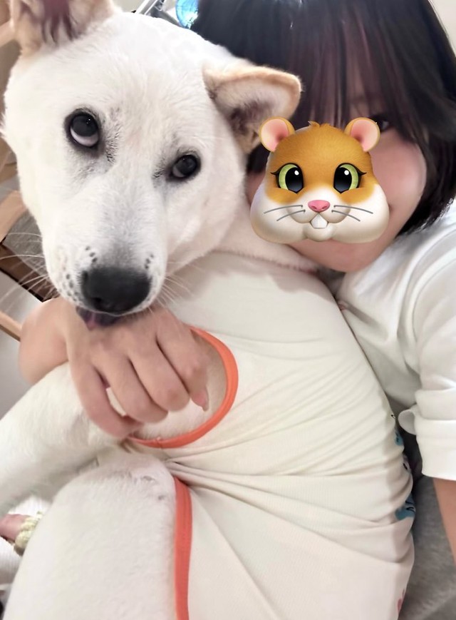 どんな時でも写真を撮ろうとすると変顔を忘れないぼんじりちゃん（提供：柑橘めたる🍊🐹🐱🐶さん）