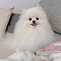  ニコニコ笑顔のコロ太くん（画像提供：コロ太くん）