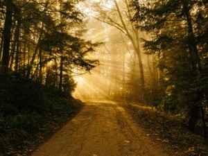 今の先には見えない、25歳の私の将来像。その未来を楽しみたい