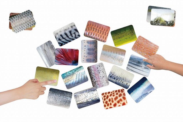 色とりどりの取り札は、見る者の目を喜ばせてくれそう（画像提供：株式会社千葉印刷/SANAGI design studio）