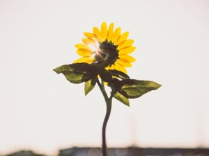 「ぶっ飛んでる、超超超ポジティブな人」が、今の私のロールモデル