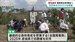 津波で失われた海岸の緑を再生　宮城・東松島市で植樹活動