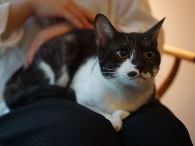 さっと“目線はずし”