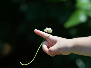 今に繋がる多大なアドバイスをくれた、10年続けた習い事の先生