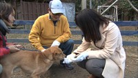 今年は戌年なので…犬と仲良くなりた～い！ーその道のプロに聞け！－