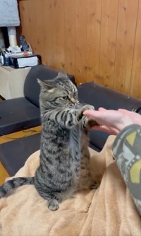 「よいよいよい♫」（動画からキャプチャー／提供：はると さん）