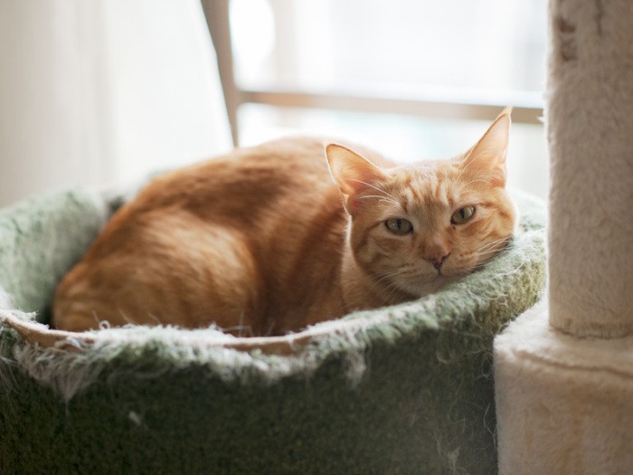 「また遊びに来てもいいけど、カメラは置いてくれば」（小林写函撮影）