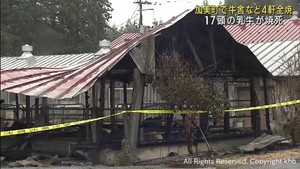 牛舎など４軒が全焼　乳牛１７頭が焼け死ぬ　宮城・加美町