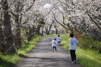 桜の木の下で元気よく（提供：わたなべあゆみさん）