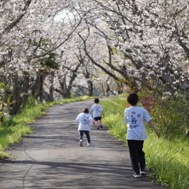 桜の木の下で元気よく（提供：わたなべあゆみさん）