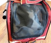 Rさんは面会のその足で、墨を自宅へと連れて帰りました