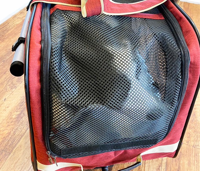 Rさんは面会のその足で、墨を自宅へと連れて帰りました