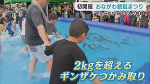 生産量日本一をＰＲ　おながわ銀鮭まつり　宮城・女川町