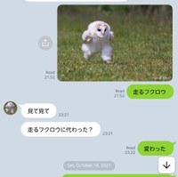 （りんたまさん提供）