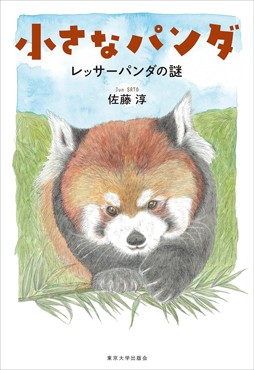 「小さなパンダ」書評　人気者の不思議さに科学で迫る