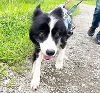 まるで子犬のように嬉しそうに広い世界を見て回るレイ