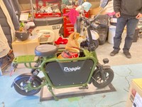 横から見た試乗中のるなちゃん（提供：柴犬るなさん）