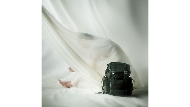写真・図版