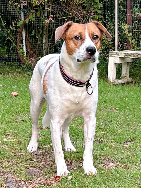 物音がしてもトイレができるようになったパーティー信子ちゃん（画像提供：みのかささん）