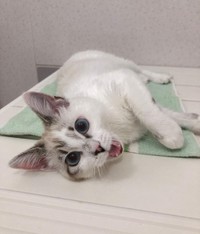 お風呂場が大好き