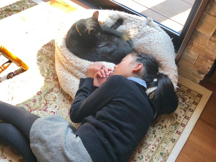 ひなたぼっこ、気持ちよくてうとうと