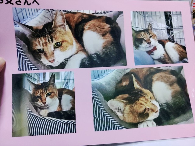 入院中のおじいさんに渡したというとみこさんの写真(海老塚さん提供)