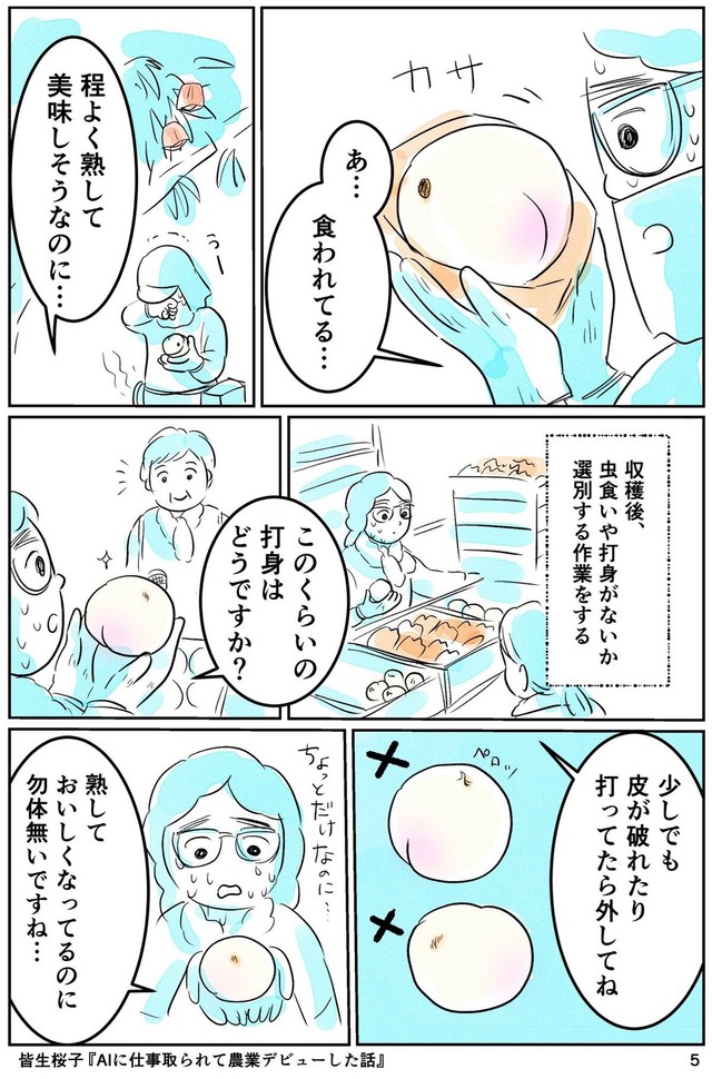【漫画】『AIに仕事をとられて農業デビューした話』5（皆生桜子さん提供）