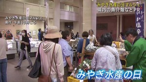 毎月第３水曜日みやぎ水産の日　宮城県庁で物産展