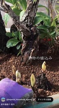 宮内庁公式YouTubeチャンネルから（動画のスクリーンショット）