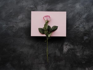 「立派じゃなくていい」を教えてくれたのは、初めて読み終えられた本