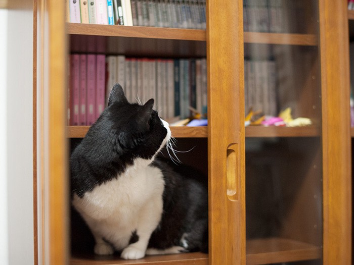 「上の階はどうなってるのかな」（小林写函撮影）