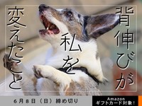 【アマギフ対象】「背伸びが私を変えたこと」でエッセイ募集！6月8日（日）締切
