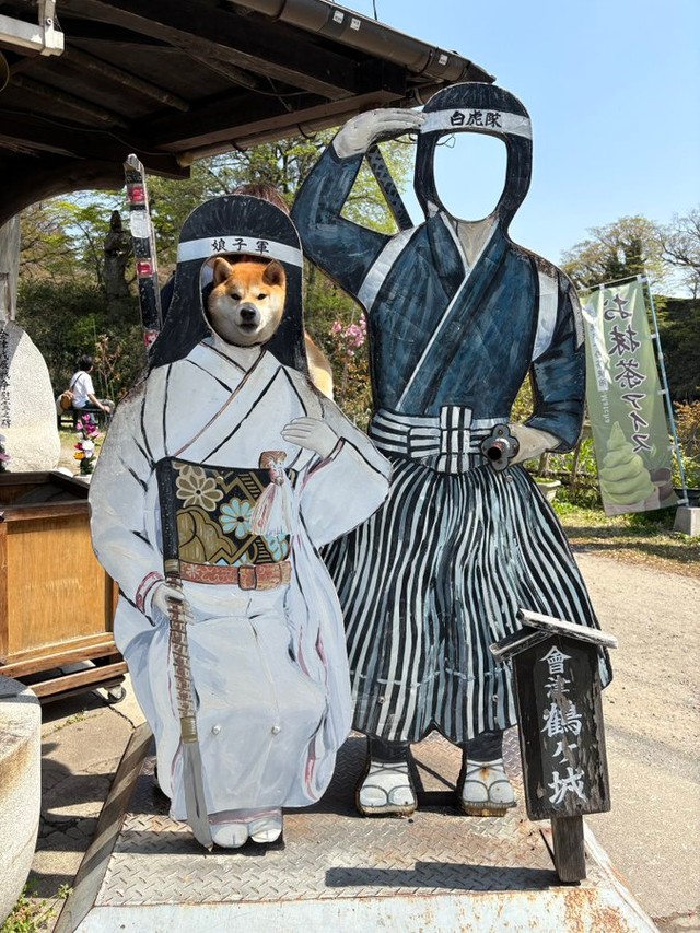 ちびこちゃんの「顔出しパネル」シリーズ（画像提供：柴犬ちびこさん）