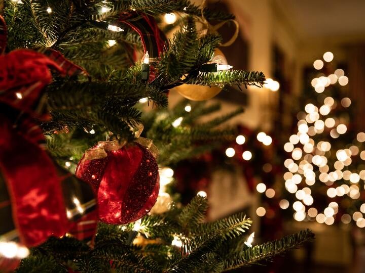 諦めていたイルミネーションデート。新たな思い出の予感が胸を鳴らす