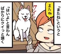 またねと言ったらクイっと頷く（大友しゅうまさん提供）