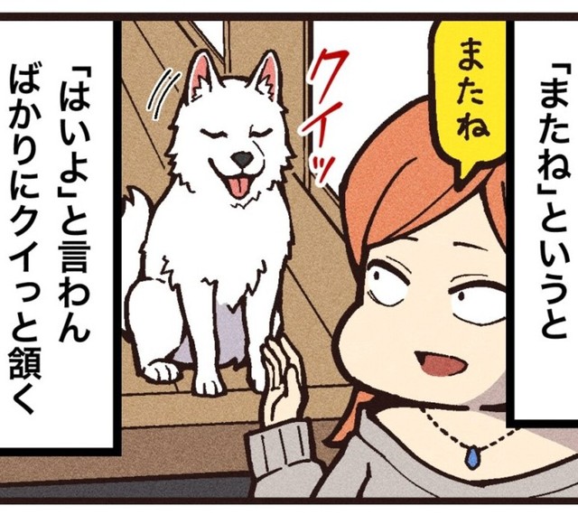 またねと言ったらクイっと頷く（大友しゅうまさん提供）
